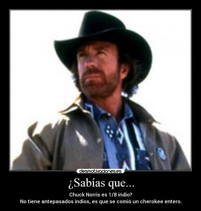 ¿Sabías que... - Chuck Norris es 1/8 indio?
No tiene antepasados indios, es que se comió un cherokee entero.