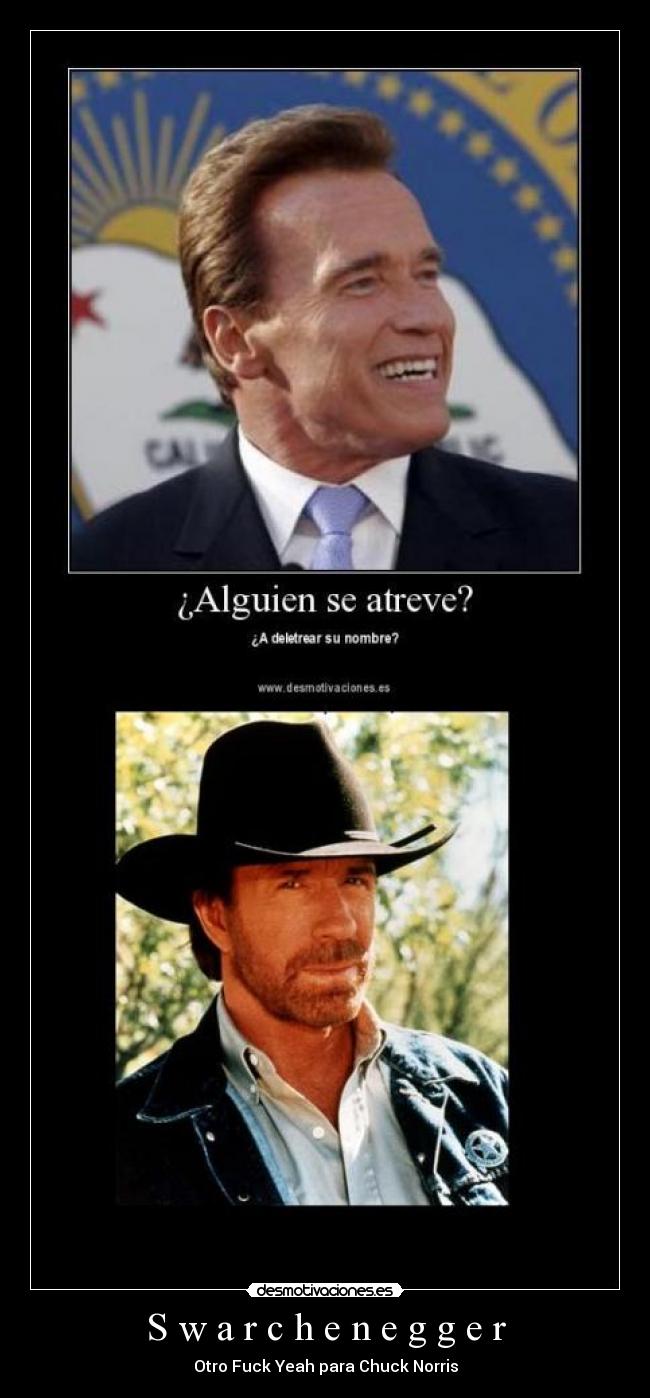 S w a r c h e n e g g e r -