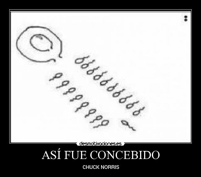 ASÍ FUE CONCEBIDO - CHUCK NORRIS