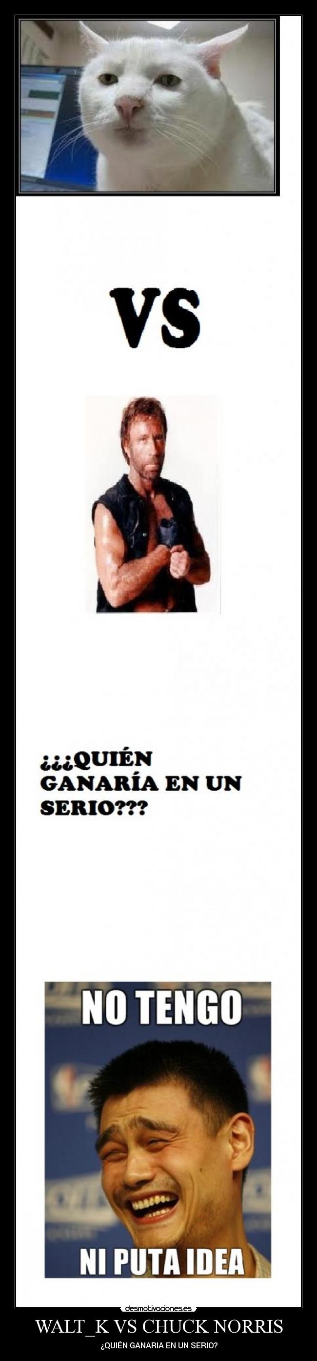 WALT_K VS CHUCK NORRIS - ¿QUIÉN GANARIA EN UN SERIO?