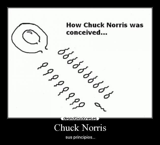 Chuck Norris -