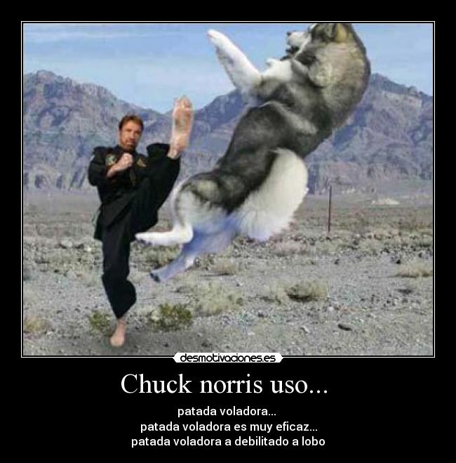 Chuck norris uso... -