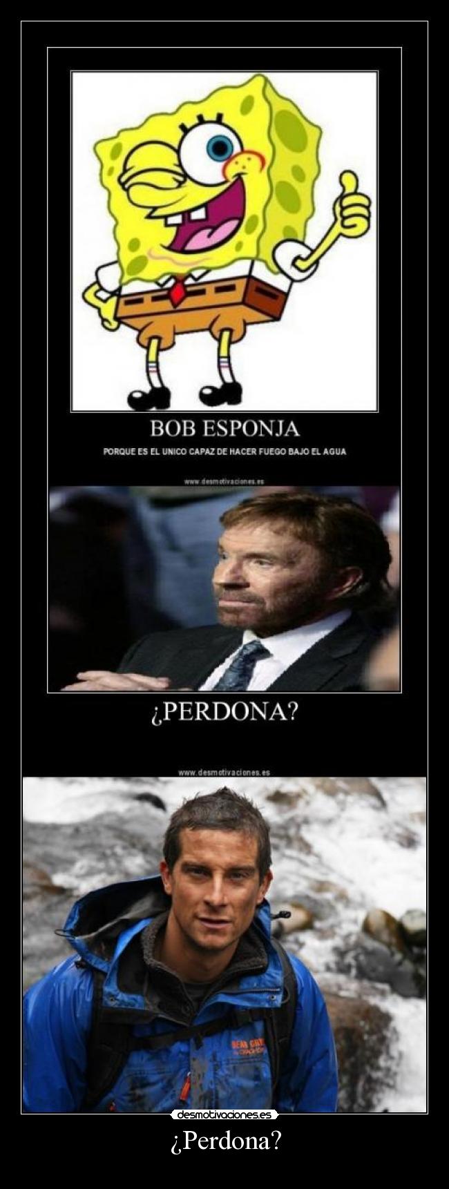 ¿Perdona? - 