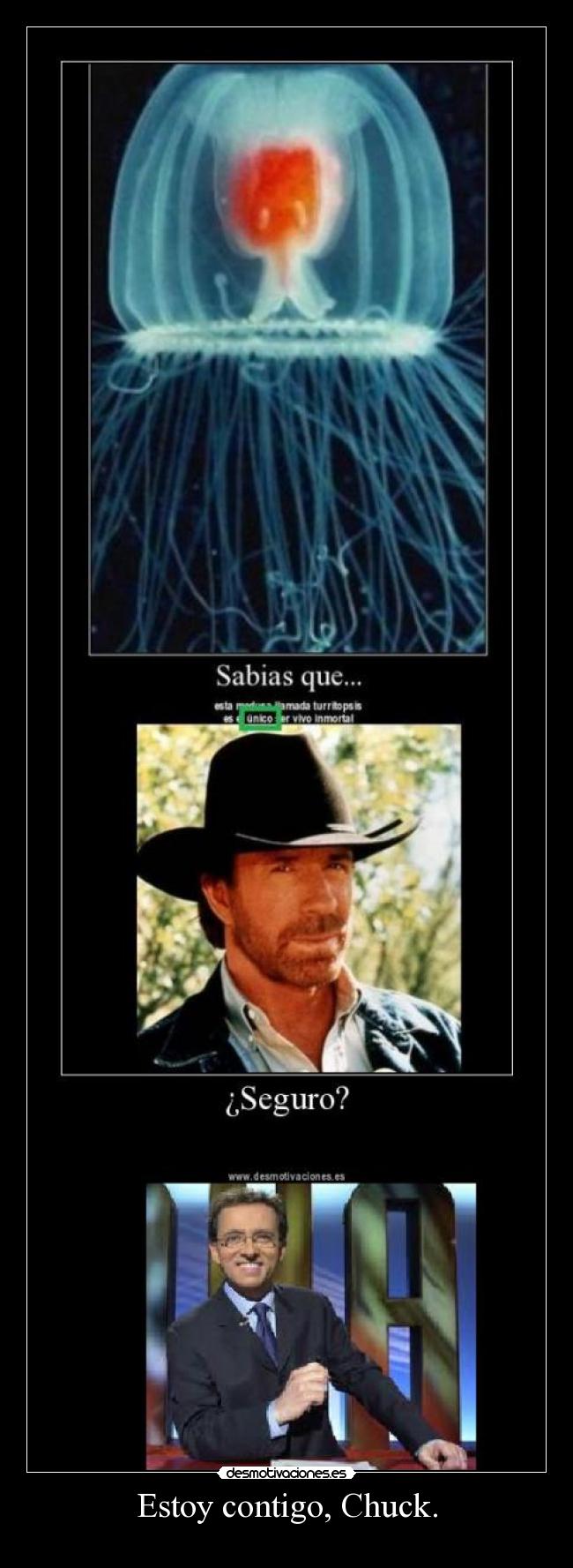 Estoy contigo, Chuck. - 