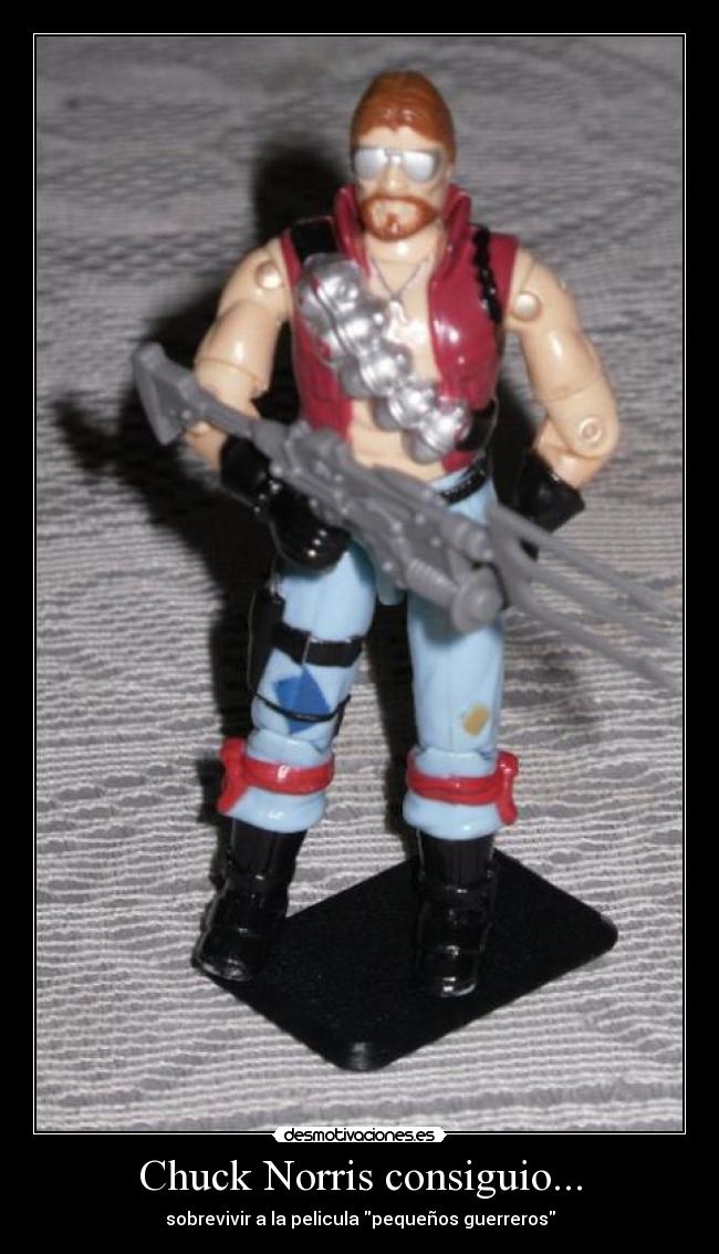 Chuck Norris consiguio... - sobrevivir a la pelicula pequeños guerreros