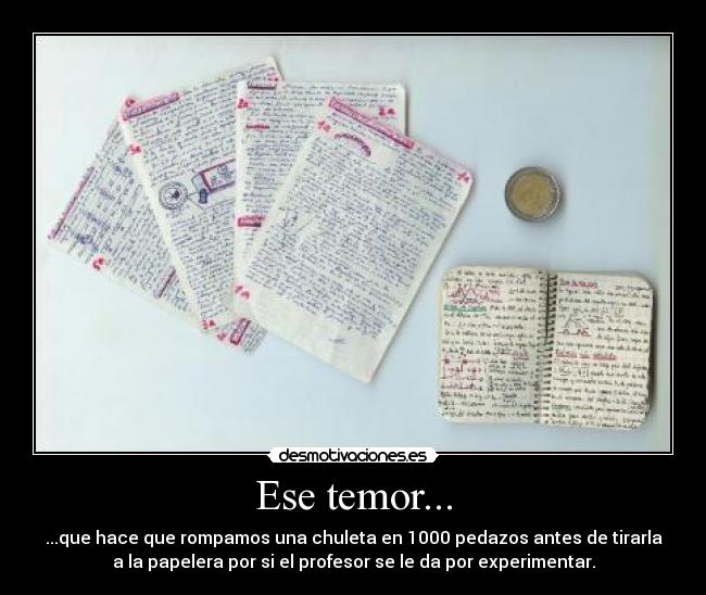 Ese temor... - ...que hace que rompamos una chuleta en 1000 pedazos antes de tirarla
a la papelera por si el profesor se le da por experimentar.