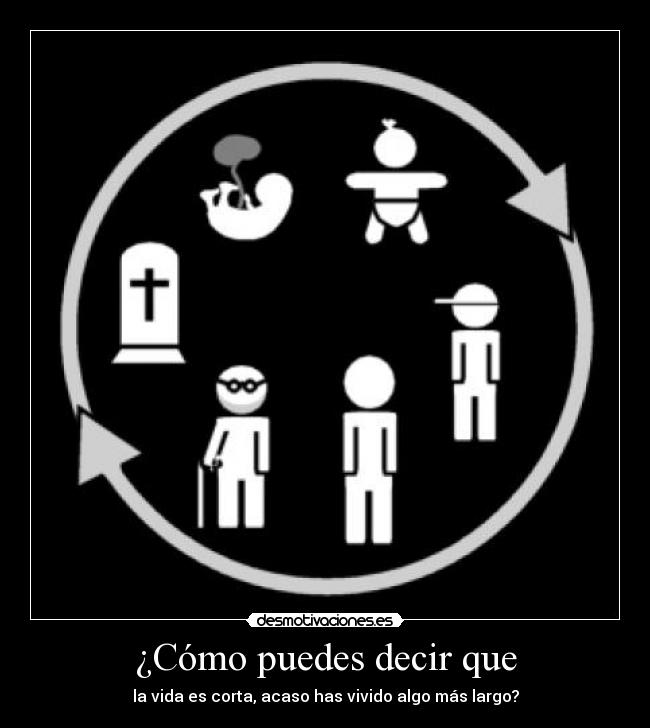 ¿Cómo puedes decir que - la vida es corta, acaso has vivido algo más largo?