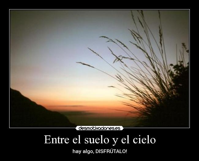 Entre el suelo y el cielo -