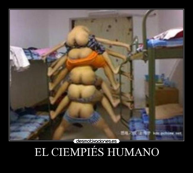 EL CIEMPIÉS HUMANO -