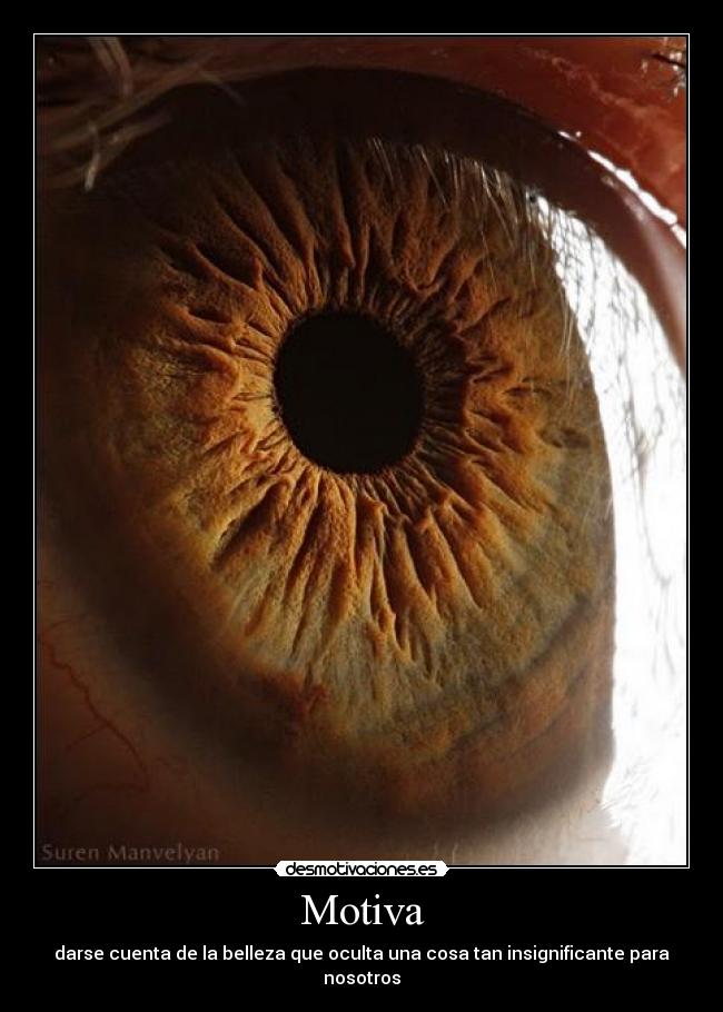 Motiva - darse cuenta de la belleza que oculta una cosa tan insignificante para nosotros