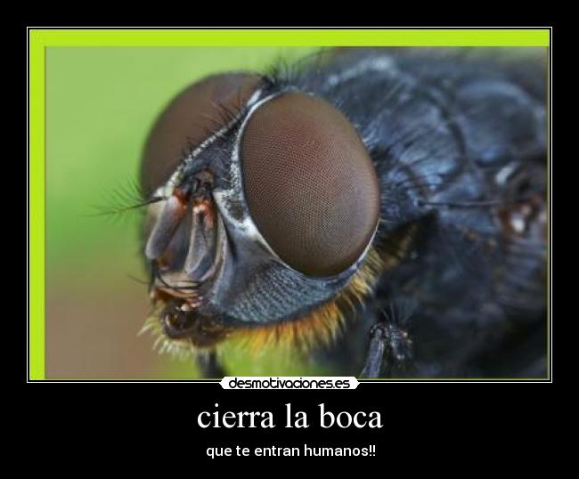 cierra la boca - que te entran humanos!!