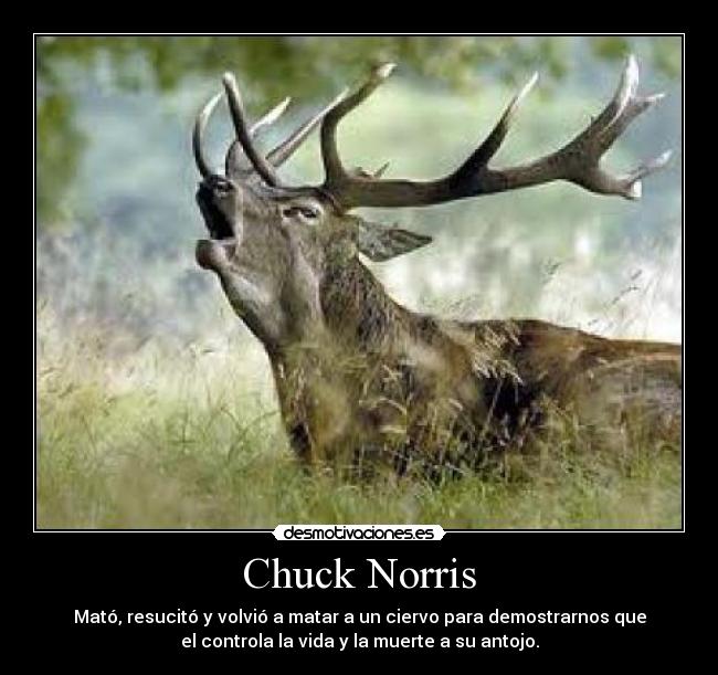Chuck Norris - 