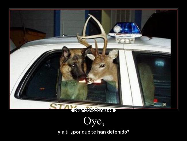 Oye, - y a ti, ¿por qué te han detenido?