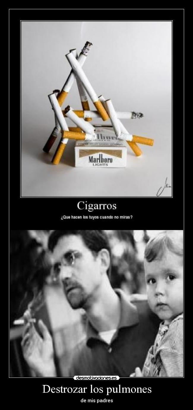 carteles eldown desmotivaciones