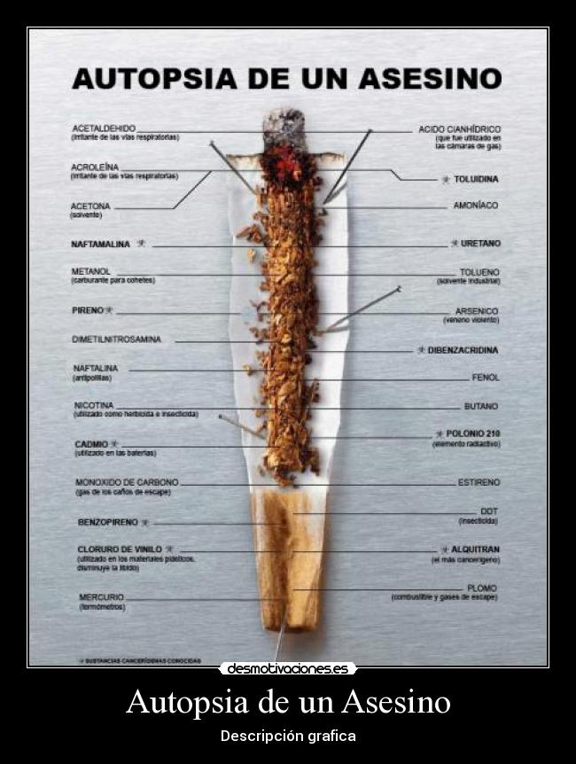 Autopsia de un Asesino -