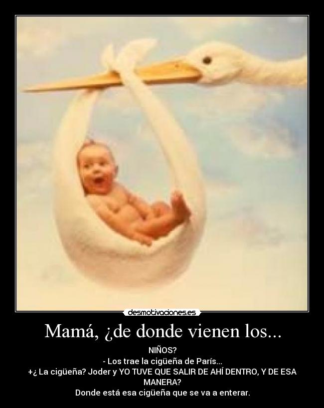 Mamá, ¿de donde vienen los... - NIÑOS?
- Los trae la cigüeña de París...
+¿ La cigüeña? Joder y YO TUVE QUE SALIR DE AHÍ DENTRO, Y DE ESA MANERA?
Donde está esa cigüeña que se va a enterar.