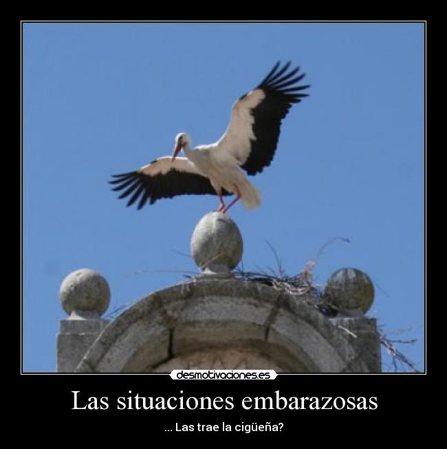 Las situaciones embarazosas - ... Las trae la cigüeña?