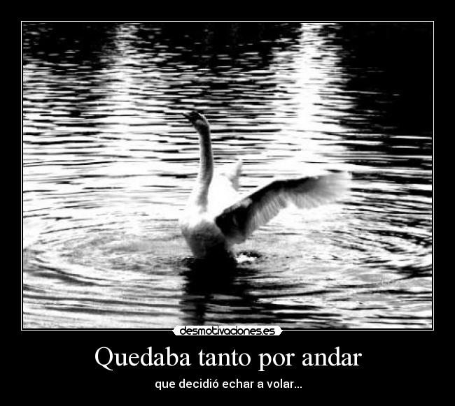 Quedaba tanto por andar - que decidió echar a volar...