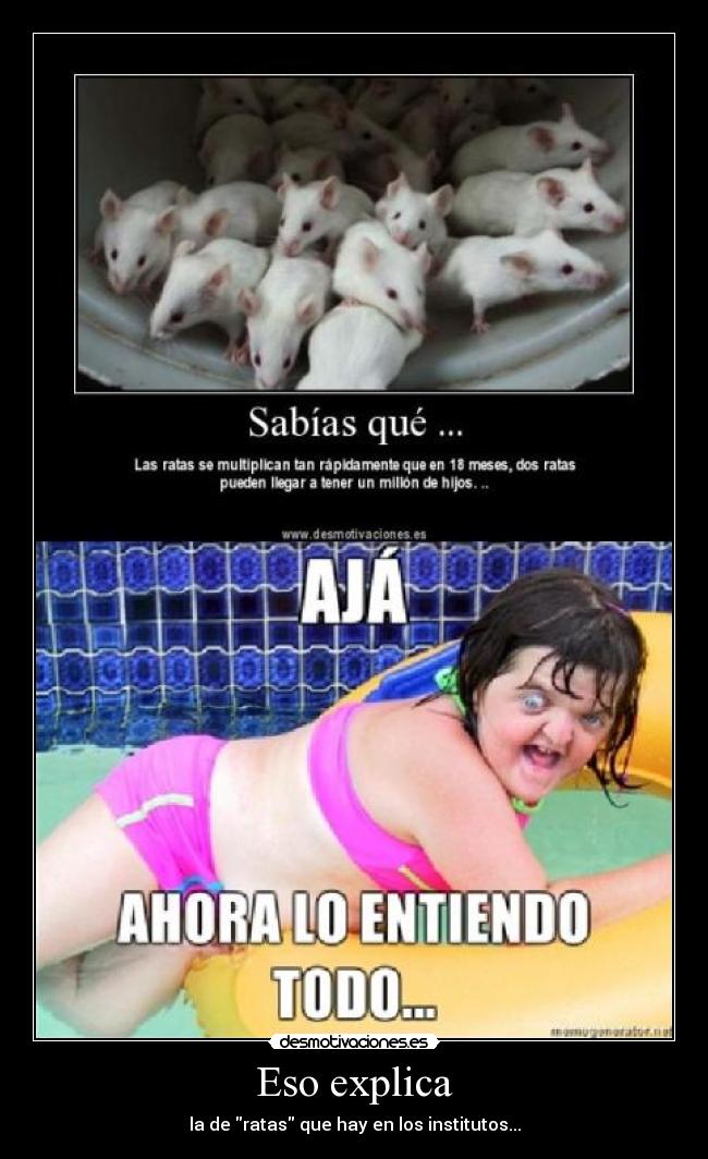 Eso explica - la de ratas que hay en los institutos...