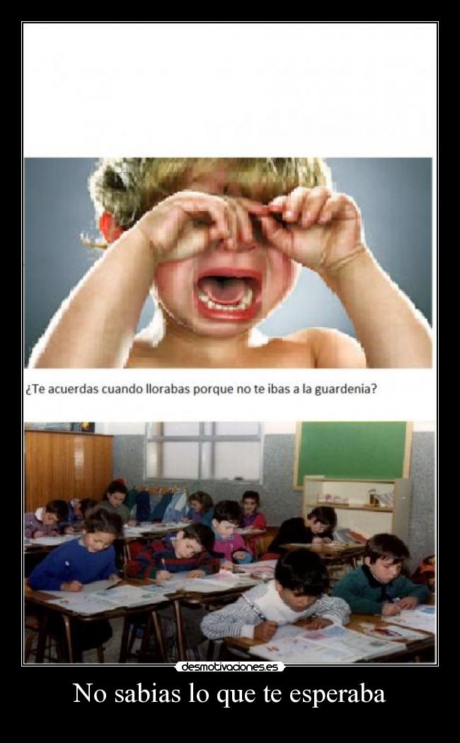 No sabias lo que te esperaba -