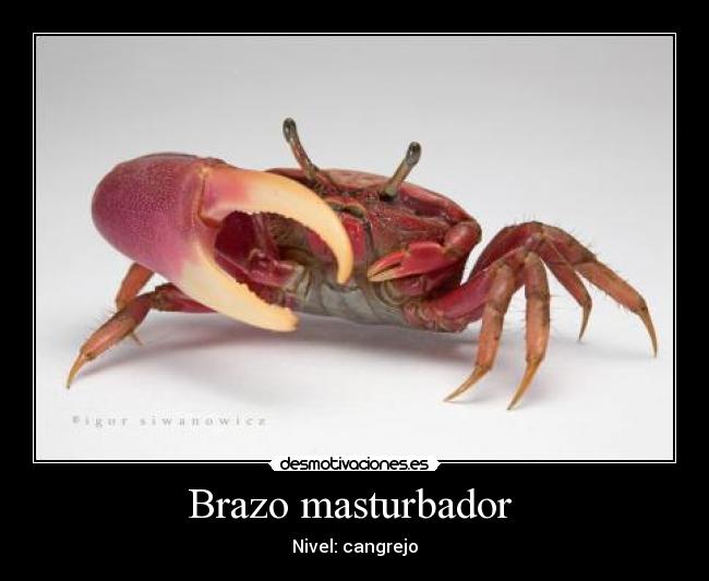 Brazo masturbador  - 