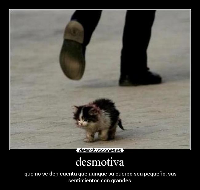 desmotiva - 