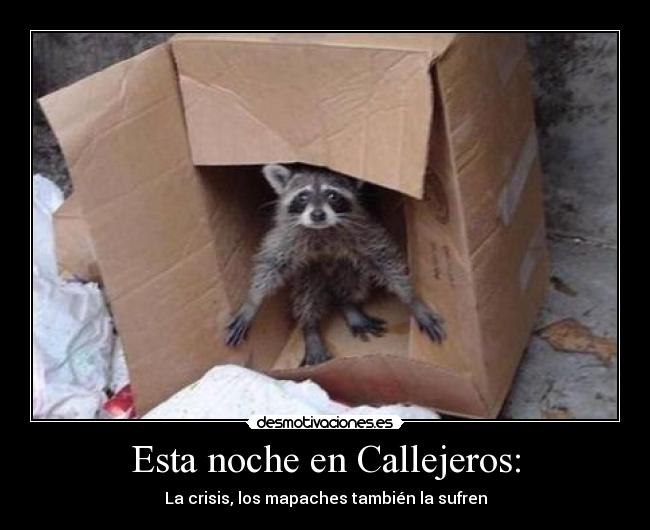 carteles mapaches desmotivaciones