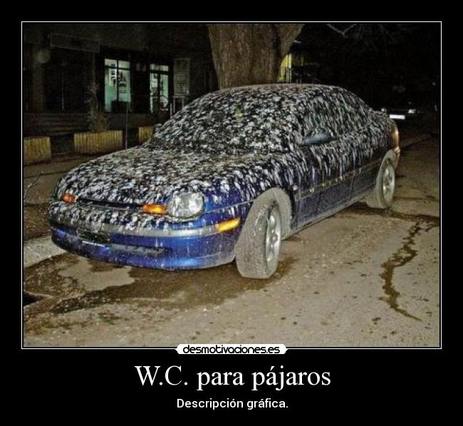 W.C. para pájaros - Descripción gráfica.