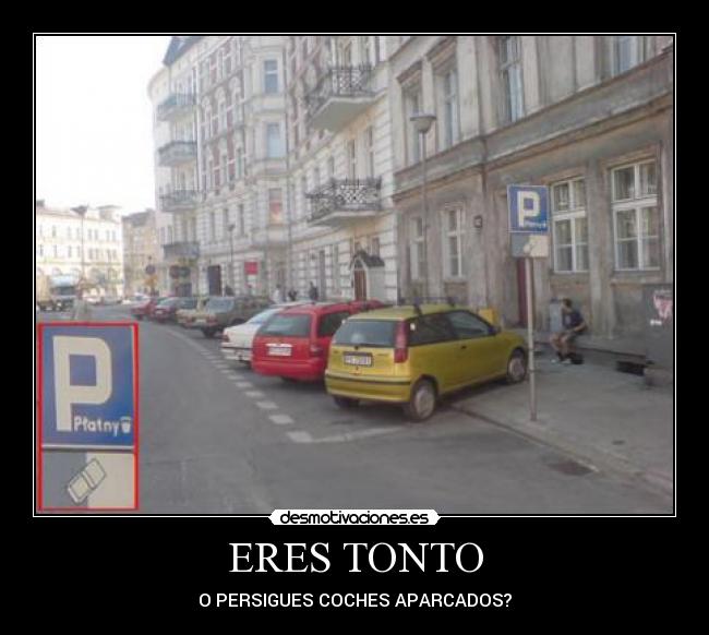 ERES TONTO - O PERSIGUES COCHES APARCADOS?