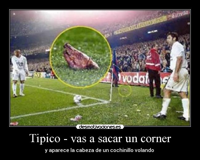 Tipico - vas a sacar un corner - y aparece la cabeza de un cochinillo volando