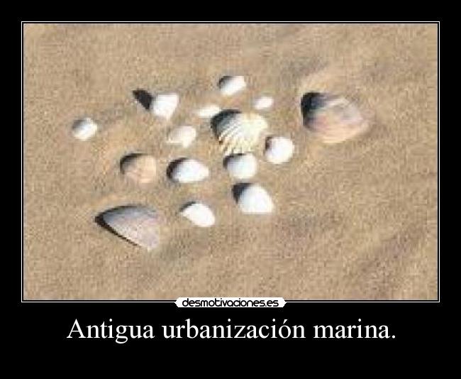 Antigua urbanización marina. - 
