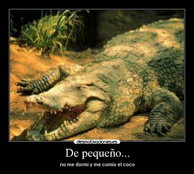 De pequeño... - no me dormi y me comio el coco