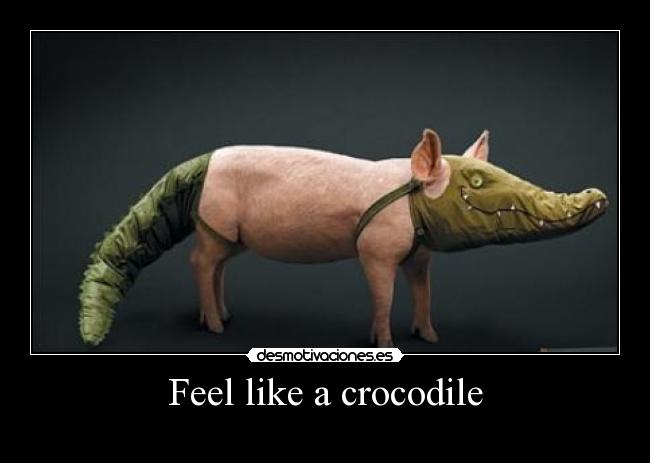 Feel like a crocodile -