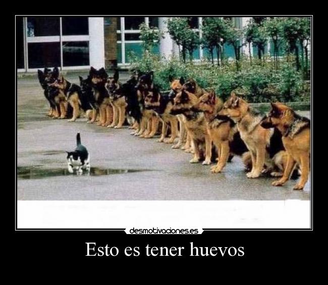 Esto es tener huevos - 