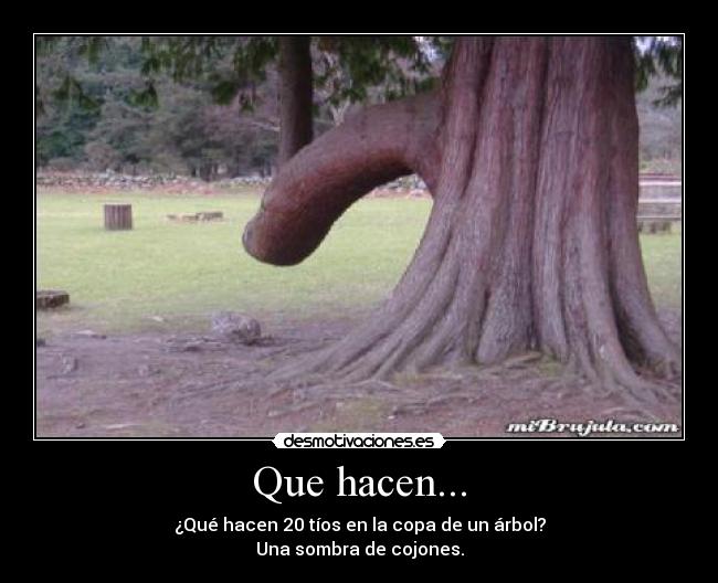 Que hacen... -