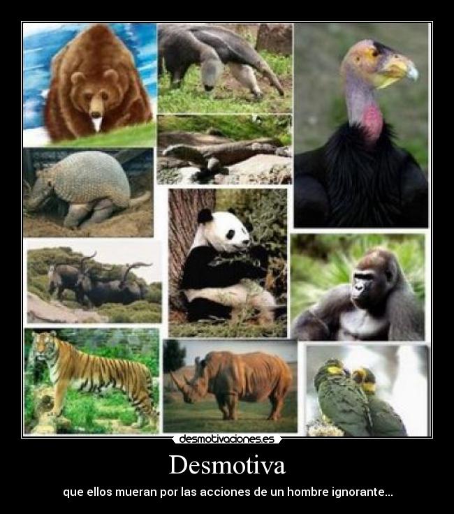 Desmotiva - 