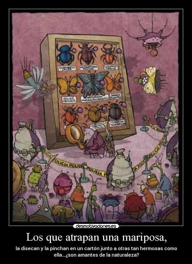 Los que atrapan una mariposa, - la disecan y la pinchan en un cartón junto a otras tan hermosas como
ella...¿son amantes de la naturaleza?