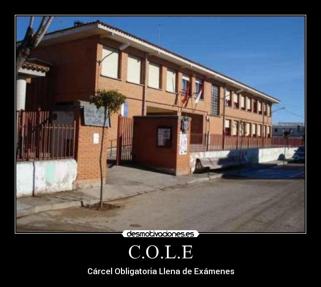 C.O.L.E - 