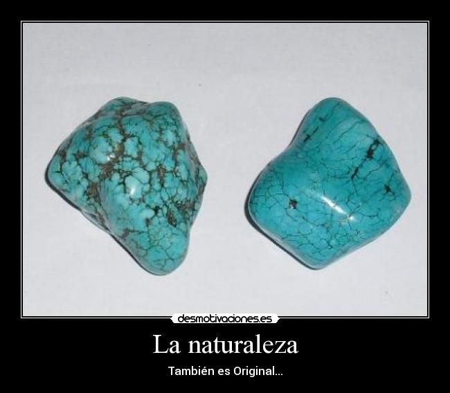 La naturaleza - También es Original...