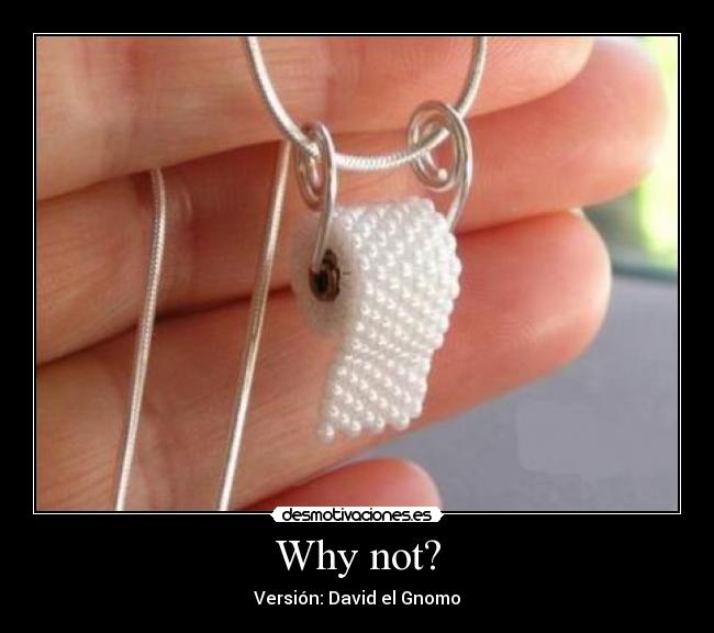 Why not? - Versión: David el Gnomo