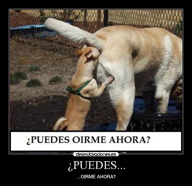 ¿PUEDES... -