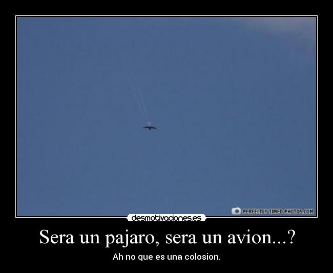 Sera un pajaro, sera un avion...? - 