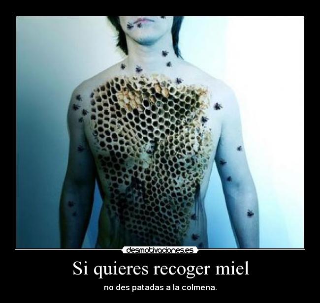 Si quieres recoger miel - 