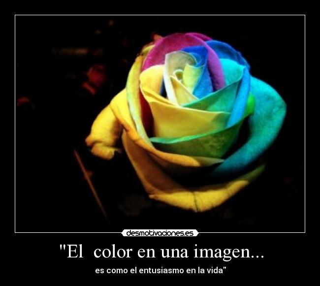 carteles color imagen entusiasmo vicent van gogh nadie sabe para que sirve esto desmotivaciones