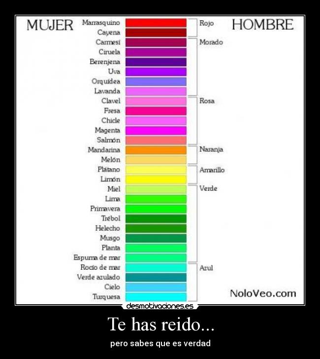 Te has reido... - pero sabes que es verdad