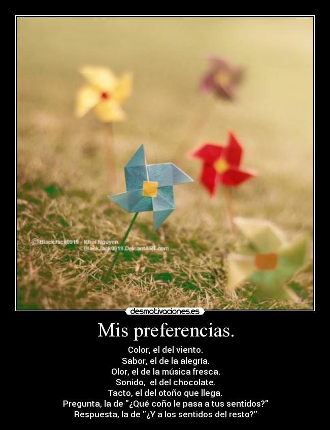Mis preferencias. - 