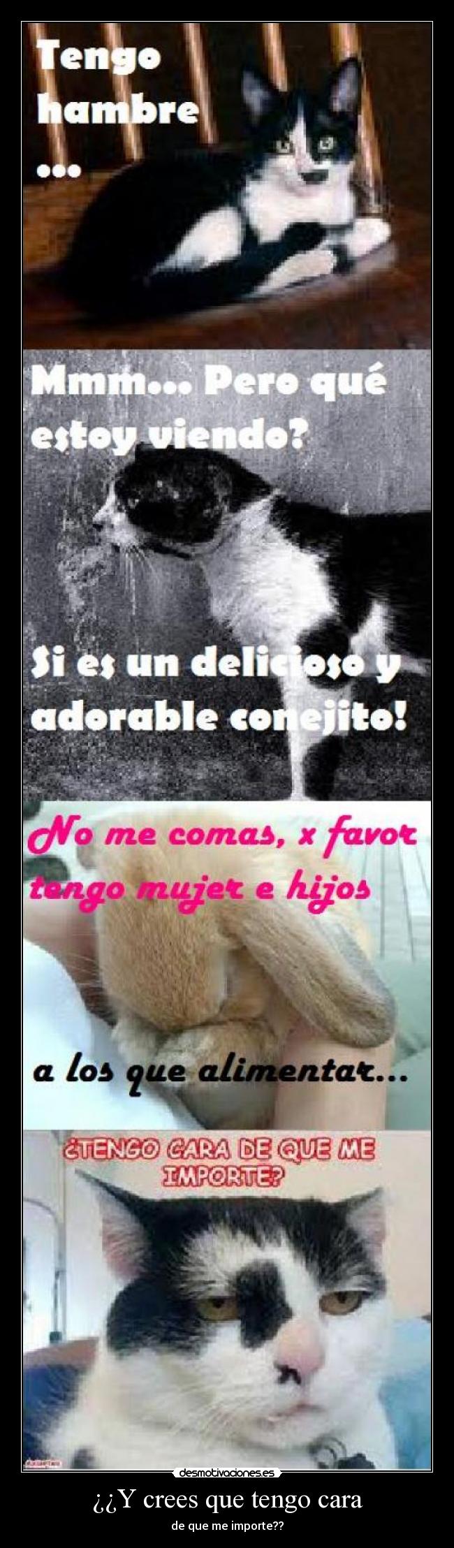 ¿¿Y crees que tengo cara - 