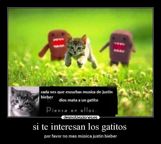 si te interesan los gatitos  - por favor no mas música justin bieber