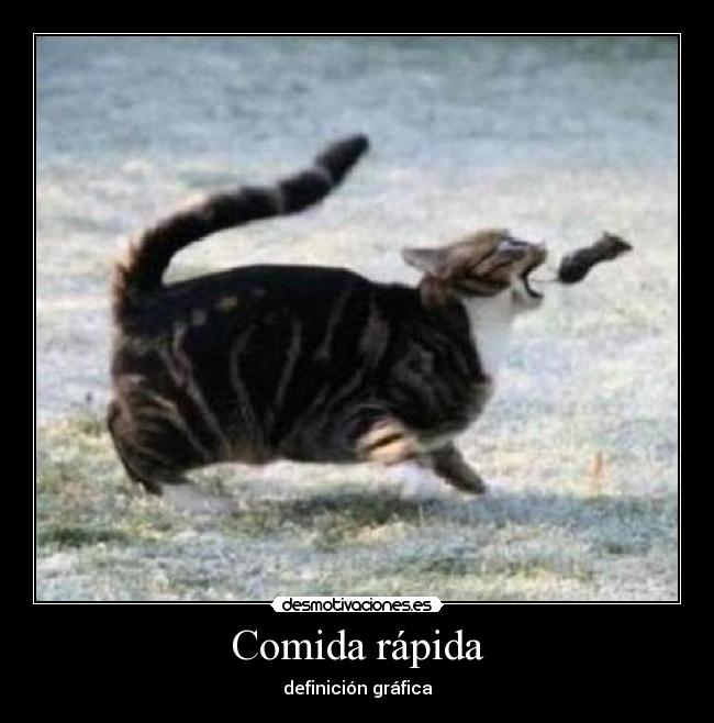 Comida rápida - definición gráfica