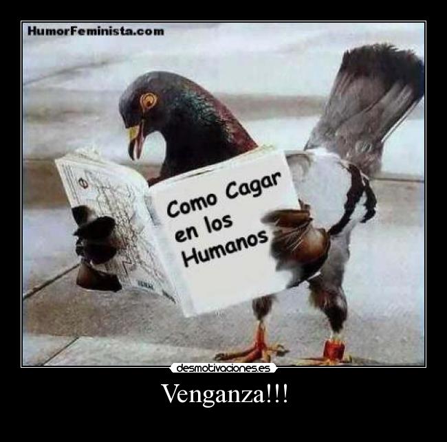 Venganza!!! -